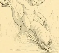 An illustration from Étude des ornements : première partie : dauphins-écailles-bucrânes-grecques-guirlandes-flots grecs (1896)