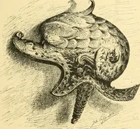 An illustration from Étude des ornements : première partie : dauphins-écailles-bucrânes-grecques-guirlandes-flots grecs (1896)
