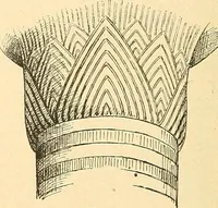 An illustration from Étude des ornements : première partie : dauphins-écailles-bucrânes-grecques-guirlandes-flots grecs (1896)