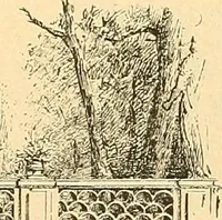 An illustration from Étude des ornements : première partie : dauphins-écailles-bucrânes-grecques-guirlandes-flots grecs (1896)