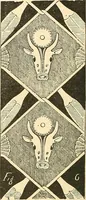 An illustration from Étude des ornements : première partie : dauphins-écailles-bucrânes-grecques-guirlandes-flots grecs (1896)