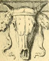 An illustration from Étude des ornements : première partie : dauphins-écailles-bucrânes-grecques-guirlandes-flots grecs (1896)