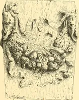 An illustration from Étude des ornements : première partie : dauphins-écailles-bucrânes-grecques-guirlandes-flots grecs (1896)