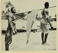 An illustration from Études Bakango : notes de sociologie coloniale (1912)