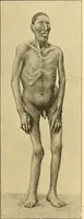 Picture 16 of 93 from Études biologiques sur les géants (1904), leaf 144