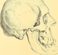 Picture 60 of 93 from Études biologiques sur les géants (1904), leaf 317