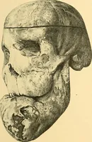 Picture 84 of 93 from Études biologiques sur les géants (1904), leaf 434