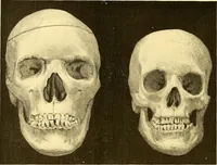 Picture 88 of 93 from Études biologiques sur les géants (1904), leaf 441
