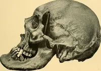 Picture 92 of 93 from Études biologiques sur les géants (1904), leaf 462