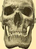 Picture 93 of 93 from Études biologiques sur les géants (1904), leaf 463