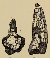 An illustration from Turquois mosaic art in ancient Mexico (1922)