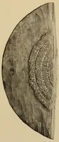 An illustration from Turquois mosaic art in ancient Mexico (1922)