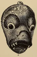 An illustration from Turquois mosaic art in ancient Mexico (1922)