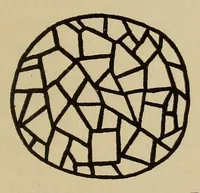 An illustration from Turquois mosaic art in ancient Mexico (1922)