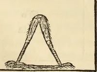 An illustration from Turris Babel, sive Archontologia qua Primo Priscorum post diluvium hominum vita, mores rerumque gestarum magnitudo, Secundo Turris fabrica civitatumque extructio, consusio linguarum, inde gentium transmigrationis... (1679)