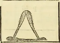 Picture 56 of 69 from Turris Babel, sive Archontologia qua Primo Priscorum post diluvium hominum vita, mores rerumque gestarum magnitudo, Secundo Turris fabrica civitatumque extructio, consusio linguarum, inde gentium transmigrationis... (1679), leaf 233