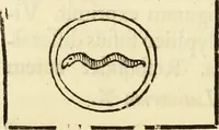 Picture 63 of 69 from Turris Babel, sive Archontologia qua Primo Priscorum post diluvium hominum vita, mores rerumque gestarum magnitudo, Secundo Turris fabrica civitatumque extructio, consusio linguarum, inde gentium transmigrationis... (1679), leaf 235