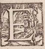 Picture 16 of 48 from [Tutte le opere del famosissimo Ruzante : di nuovo con somma diligenza rivedute, et corrette : et aggiuntovi un sonnetto et una canzone dell'istesso autore .. (1584), leaf 211