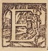 Picture 28 of 48 from [Tutte le opere del famosissimo Ruzante : di nuovo con somma diligenza rivedute, et corrette : et aggiuntovi un sonnetto et una canzone dell'istesso autore .. (1584), leaf 333