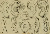 Picture 5 of 34 from Tutte le parti del corpo hvmano diuiso in piu pezzi (1608), leaf 10