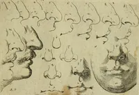 An illustration from Tutte le parti del corpo hvmano diuiso in piu pezzi (1608)