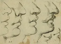 An illustration from Tutte le parti del corpo hvmano diuiso in piu pezzi (1608)
