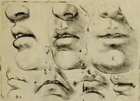 An illustration from Tutte le parti del corpo hvmano diuiso in piu pezzi (1608)