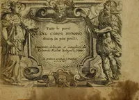 An illustration from Tutte le parti del corpo hvmano diuiso in piu pezzi (1608)