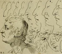 An illustration from Tutte le parti del corpo hvmano diuiso in piu pezzi (1608)