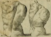 An illustration from Tutte le parti del corpo hvmano diuiso in piu pezzi (1608)