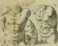 An illustration from Tutte le parti del corpo hvmano diuiso in piu pezzi (1608)