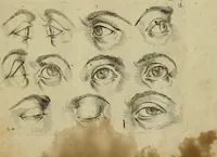 An illustration from Tutte le parti del corpo hvmano diuiso in piu pezzi (1608)