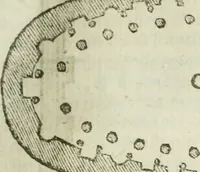 An illustration from Tutte l'opere d'archittetura, et prospetiua (1619)
