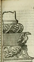 An illustration from Tutte l'opere d'archittetura, et prospetiua (1619)