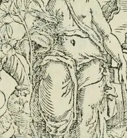 An illustration from Tutte l'opere d'archittetura, et prospetiua (1619)