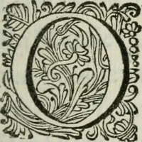An illustration from 't Verwerd Europa; ofte, Politijke en historische beschryvinge der waare fundamenten en oorsaken van de oorlogen en revolutien in Europa, voornamentlijk in en omtrent de Nederlanden zedert den jaare 1664, gecauseert door de gepretendeerde universele monarchie der Franschen, verdeelt in dry deelen .. (1675)