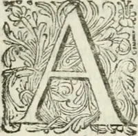 An illustration from 't Verwerd Europa; ofte, Politijke en historische beschryvinge der waare fundamenten en oorsaken van de oorlogen en revolutien in Europa, voornamentlijk in en omtrent de Nederlanden zedert den jaare 1664, gecauseert door de gepretendeerde universele monarchie der Franschen, verdeelt in dry deelen .. (1675)