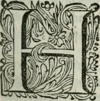 An illustration from 't Verwerd Europa; ofte, Politijke en historische beschryvinge der waare fundamenten en oorsaken van de oorlogen en revolutien in Europa, voornamentlijk in en omtrent de Nederlanden zedert den jaare 1664, gecauseert door de gepretendeerde universele monarchie der Franschen, verdeelt in dry deelen .. (1675)