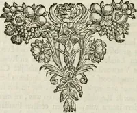 An illustration from 't Verwerd Europa; ofte, Politijke en historische beschryvinge der waare fundamenten en oorsaken van de oorlogen en revolutien in Europa, voornamentlijk in en omtrent de Nederlanden zedert den jaare 1664, gecauseert door de gepretendeerde universele monarchie der Franschen, verdeelt in dry deelen .. (1675)