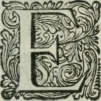 An illustration from 't Verwerd Europa; ofte, Politijke en historische beschryvinge der waare fundamenten en oorsaken van de oorlogen en revolutien in Europa, voornamentlijk in en omtrent de Nederlanden zedert den jaare 1664, gecauseert door de gepretendeerde universele monarchie der Franschen, verdeelt in dry deelen .. (1675)