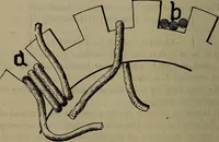 An illustration from Twentieth century hand-book for steam engineers and electricians with questions and answers; a practical non-technical treatise .. (1913)