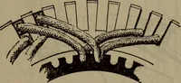 An illustration from Twentieth century hand-book for steam engineers and electricians with questions and answers; a practical non-technical treatise .. (1913)