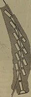 An illustration from Twentieth century hand-book for steam engineers and electricians with questions and answers; a practical non-technical treatise .. (1913)