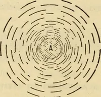 Picture 407 of 644 from Twentieth century handbook for steam engineers and electricians, with questions and answers; a practical nontechnical treatise .. (1916), leaf 1061