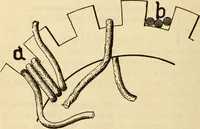 Picture 497 of 644 from Twentieth century handbook for steam engineers and electricians, with questions and answers; a practical nontechnical treatise .. (1916), leaf 1221