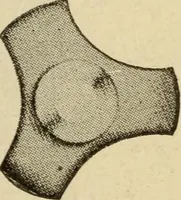 Picture 7 of 644 from Twentieth century handbook for steam engineers and electricians, with questions and answers; a practical nontechnical treatise .. (1916), leaf 20