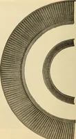An illustration from Twentieth century handbook for steam engineers and electricians, with questions and answers; a practical nontechnical treatise .. (1916)