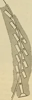 Picture 283 of 644 from Twentieth century handbook for steam engineers and electricians, with questions and answers; a practical nontechnical treatise .. (1916), leaf 708
