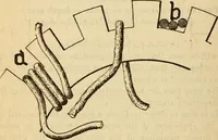 An illustration from Twentieth century handbook for steam engineers and electricians, with questions and answers; a practical nontechnical treatise on the care and management of steam engines, boilers and electric machinery (1922)