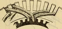 An illustration from Twentieth century handbook for steam engineers and electricians, with questions and answers; a practical nontechnical treatise on the care and management of steam engines, boilers and electric machinery (1922)